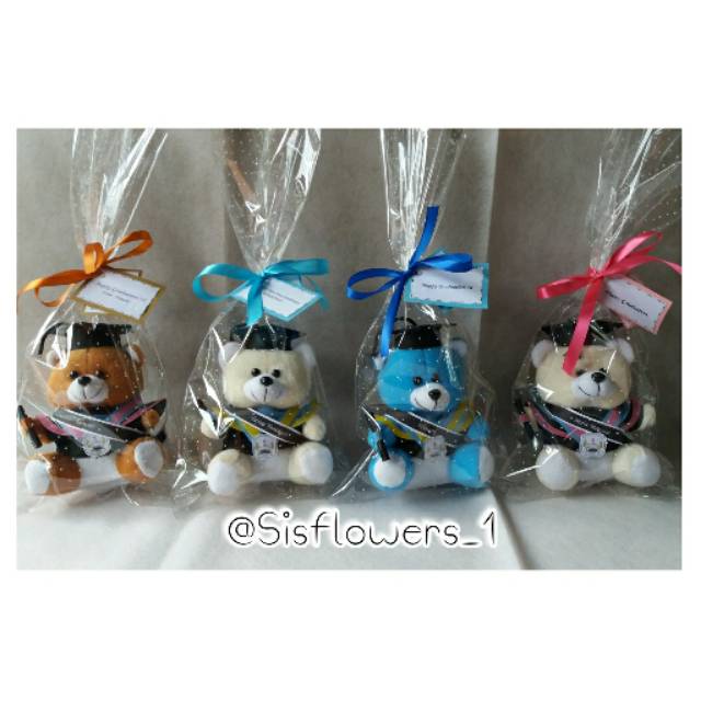 Boneka wisuda mini / boneka wisuda murah / boneka mini
