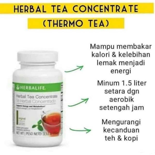 Herbal Tea Concentrate Thermo Tea Herbalife Free Ongkir Shopee Indonesia