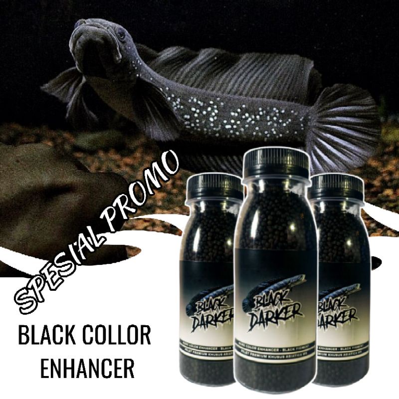 Pelet Black Darker 100ml Pakan Ikan Channa Asiatica WS Limbata