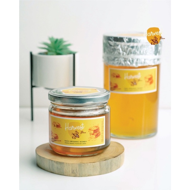 

HARVESTBEE COMBO (1000gr + 350gr) GOLD HONEY