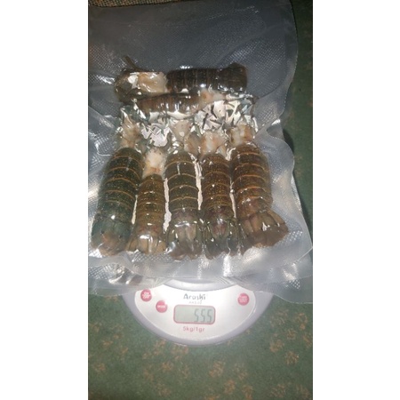 

Lobster air tawar Tails Freshwater Grill