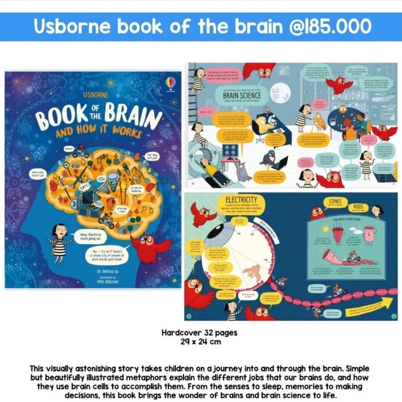 Jual usborne book of the brain and how it works shopee indonesia