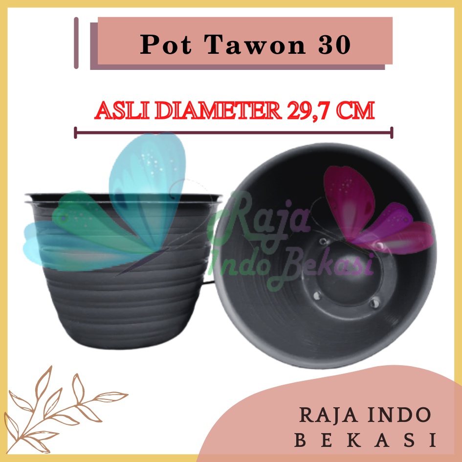 POT TAWON 30,25 PUTIH - POT MADU 30,25 PUTIH PLASTIK VAS BUNGA POT PUTIH POT ADENIUM BONSAI Putih Hitam Merah BataTerracota Terracotta Merah Coklat Pot Madu 30 25 Plastik Pot Bunga Pot Tanaman Plastik Termurah Pot Tawon Putih 30 25 20 30 Cm