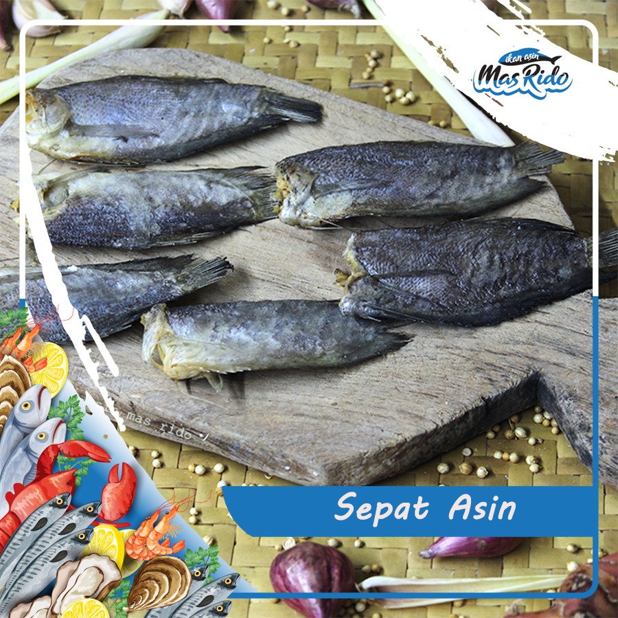 

IKAN ASIN SEPAT BESAR TANPA KEPALA IKAN SEPAT KERING ENAK FRESH KUALITAS SUPER HARGA TERMURAH