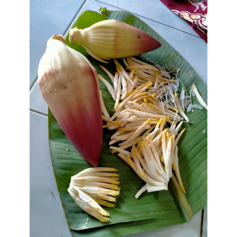 

ONTONG TONGKOL PISANG GEDANG