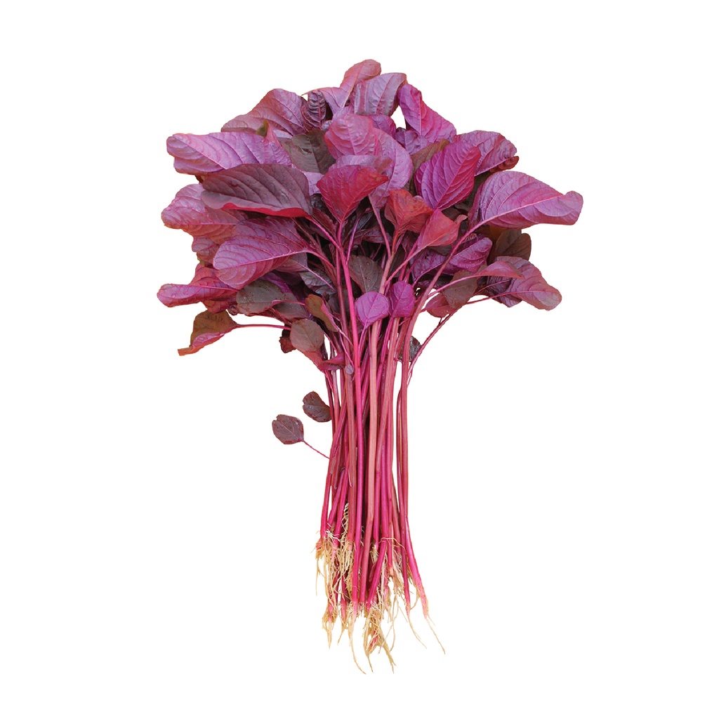 Bayam Merah Organik 200gr