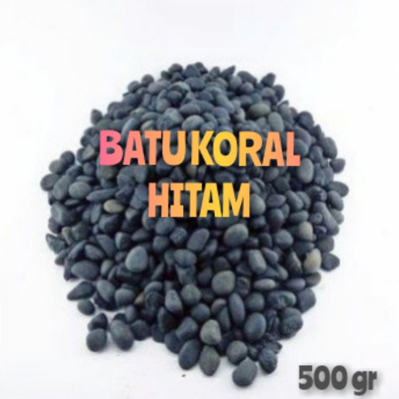 Batu alor koral hitam batu aquascpe batu taman batu sikat batu bengkulu batu hitam