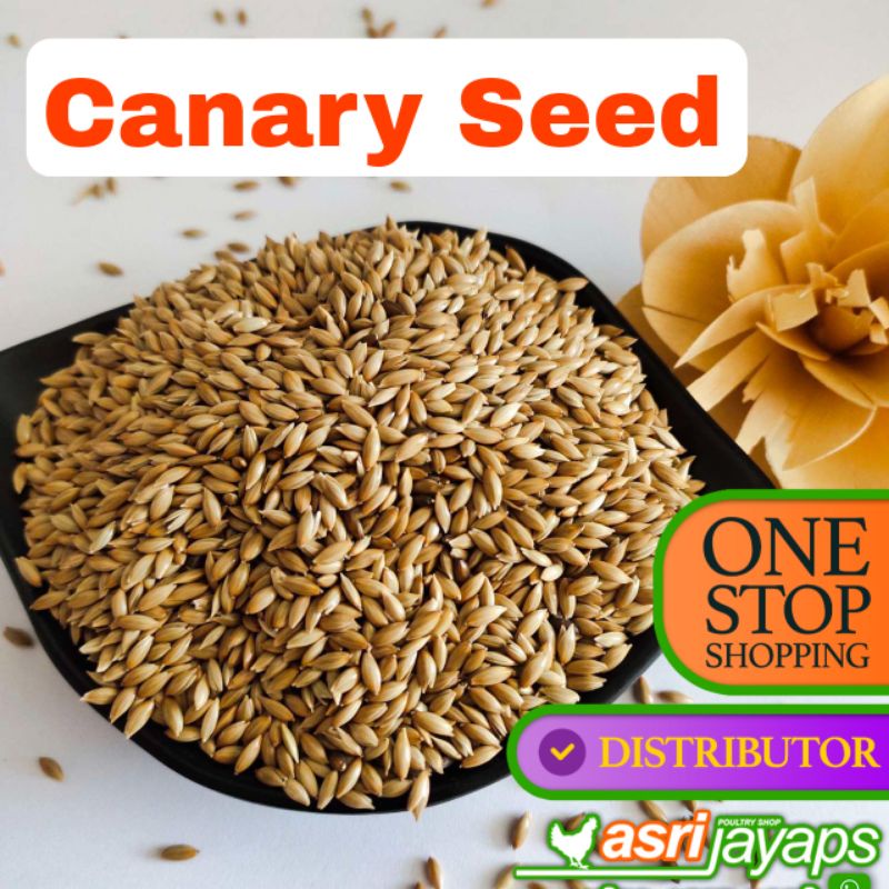 Pakan Burung CANARY KENARI SEED VITA 500 Gram