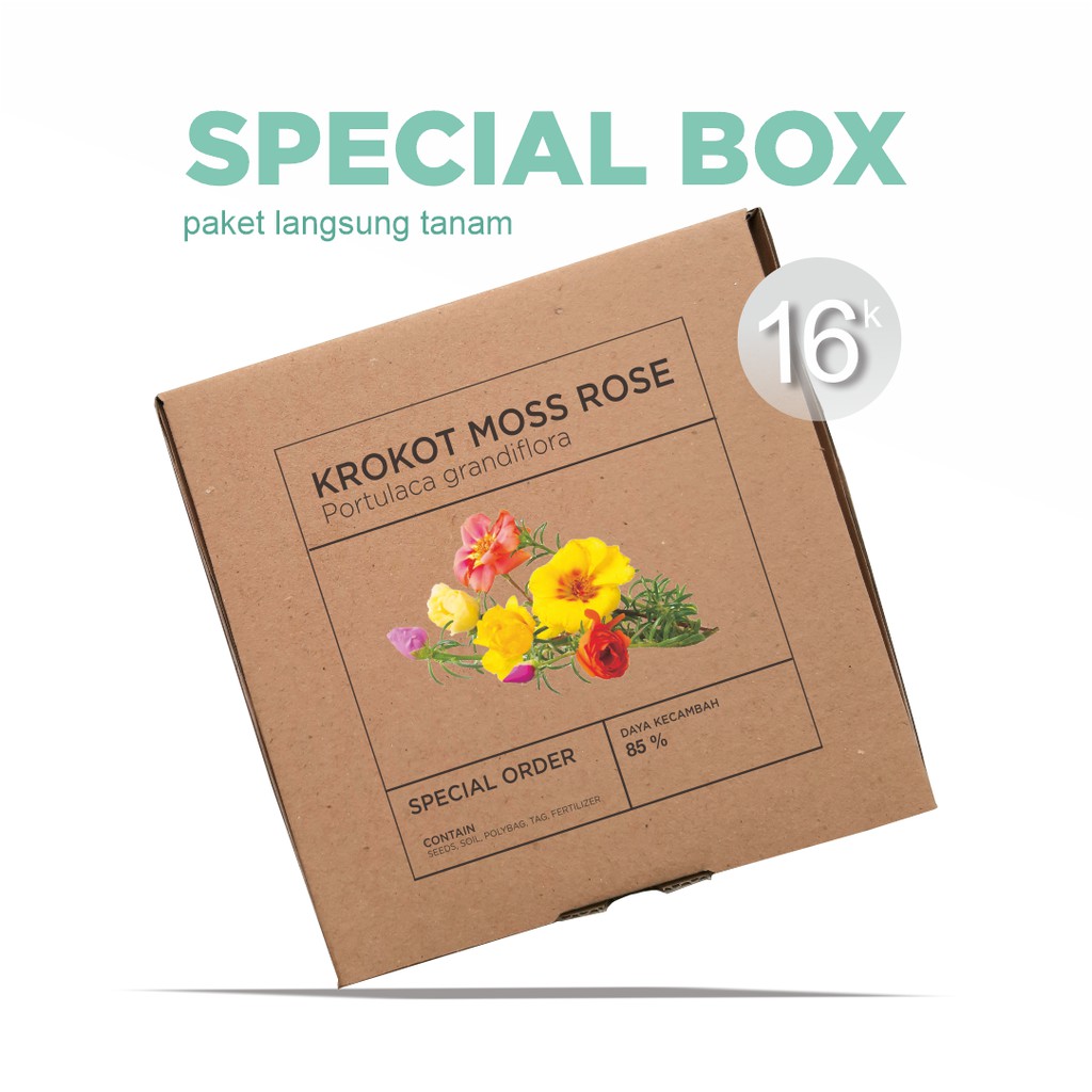 Paket Langsung Tanam - Gardening Kit - SPECIAL BOX - Benih Bunga Krokot / Moss Rose Portulaca Seeds