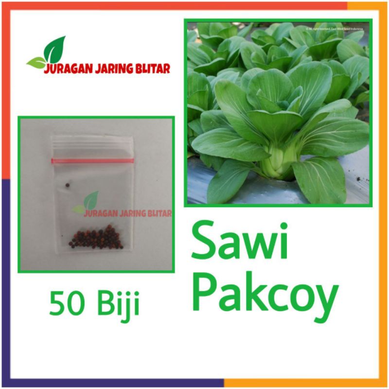 Jual Benih Sawi Pakcoy Nauli Cap Panah Merah Pakchoy Hidroponik Bibit Tanaman Sayur Sayuran