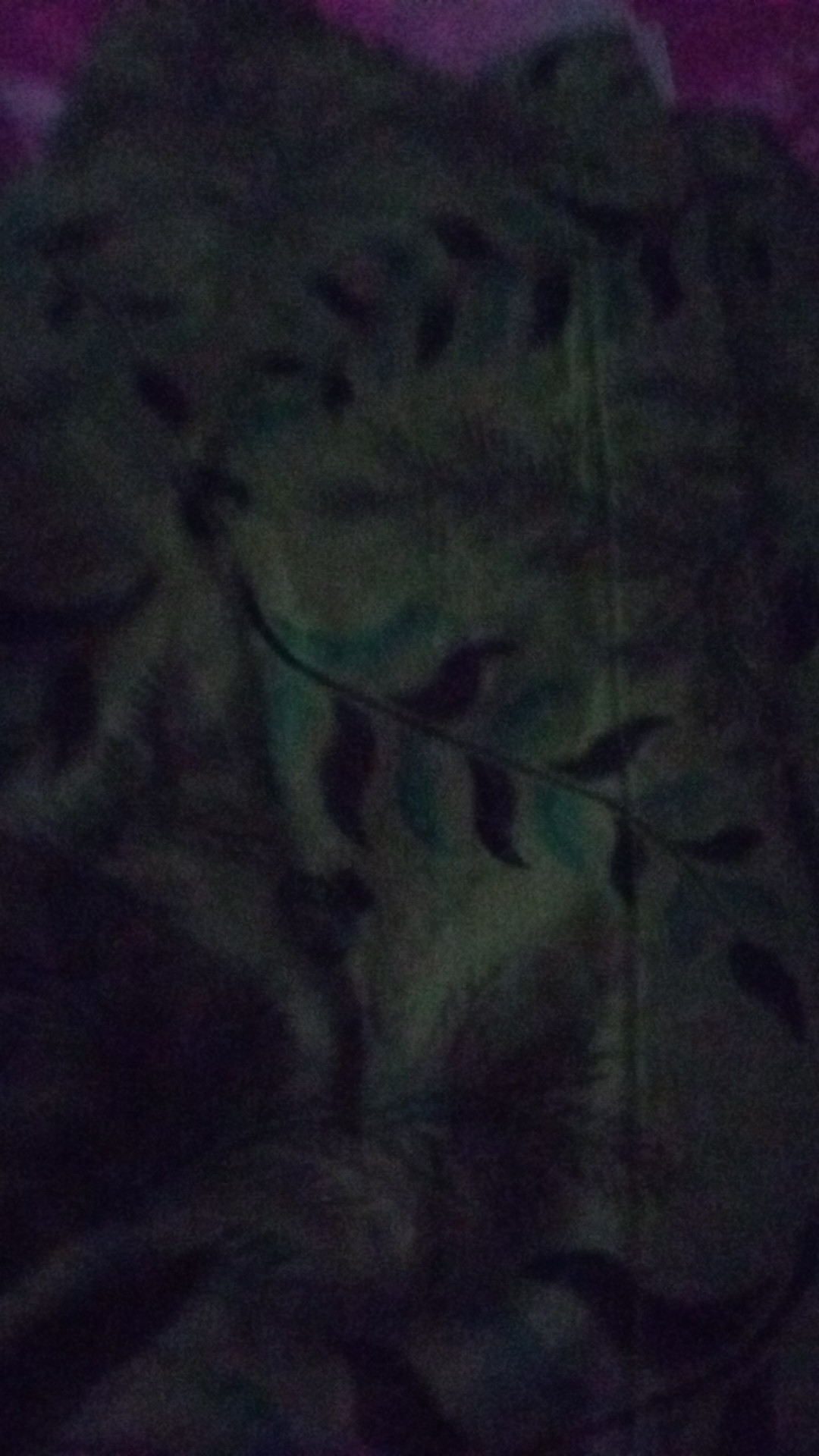 Batik Super Ekslusif Couple Dewasa Dan Anak