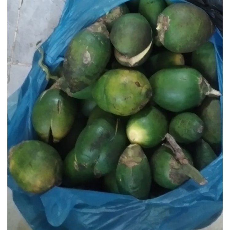 

ready buah pinang muda 1 biji @1.000