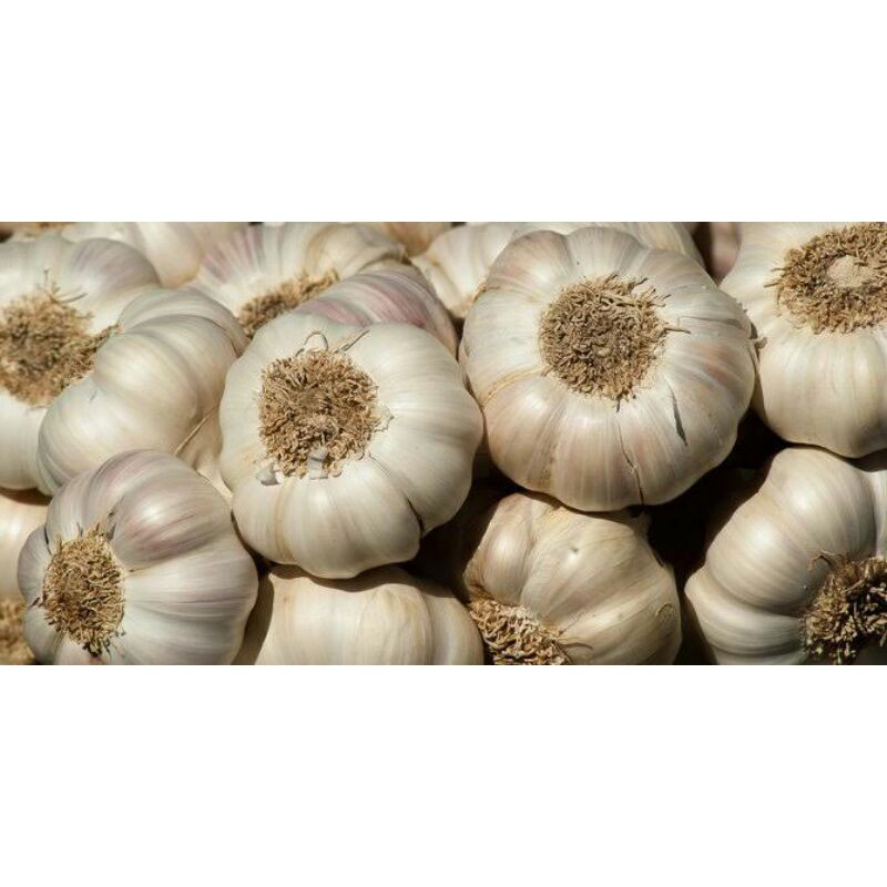 

BAWANG PUTIH 250gr