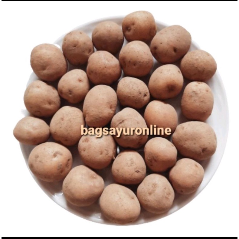 KETANG KECIL UNTUK SAYUR MAYUR