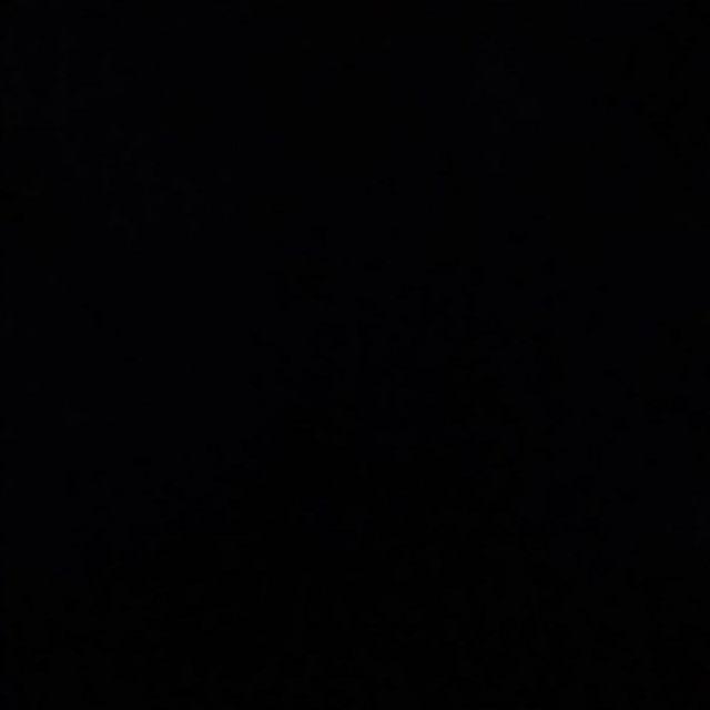 Sprei Homemade Motif Dewasa Shine Rose