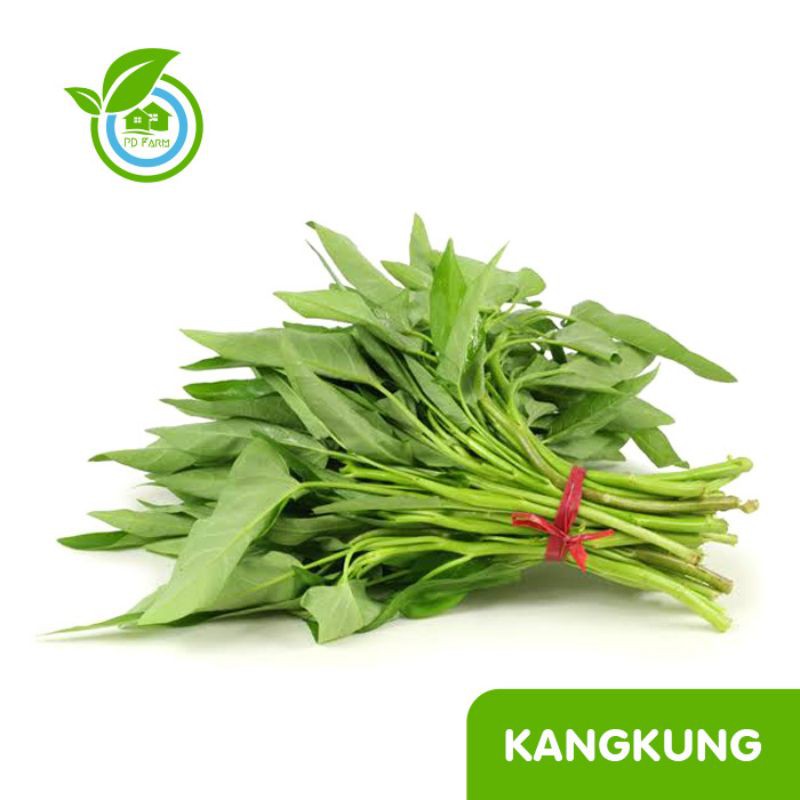 

Kangkung (250gram) per ikat