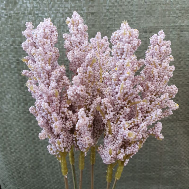 ( 6 Pcs ) Bunga Edelweiss Foam / Bunga Artificial-Ungu muda