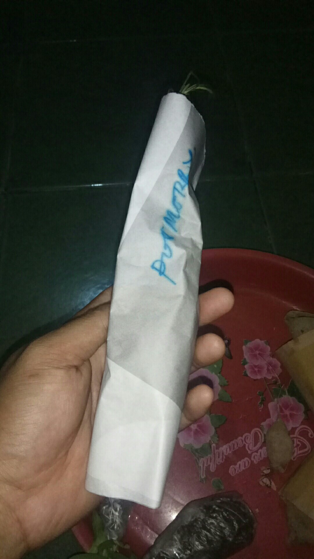 Tanaman Rosemary ( Dapat Di Kosumsi )