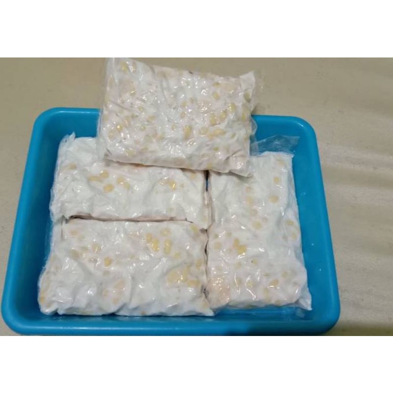 

tempe plastik kedelai per 1 pcs
