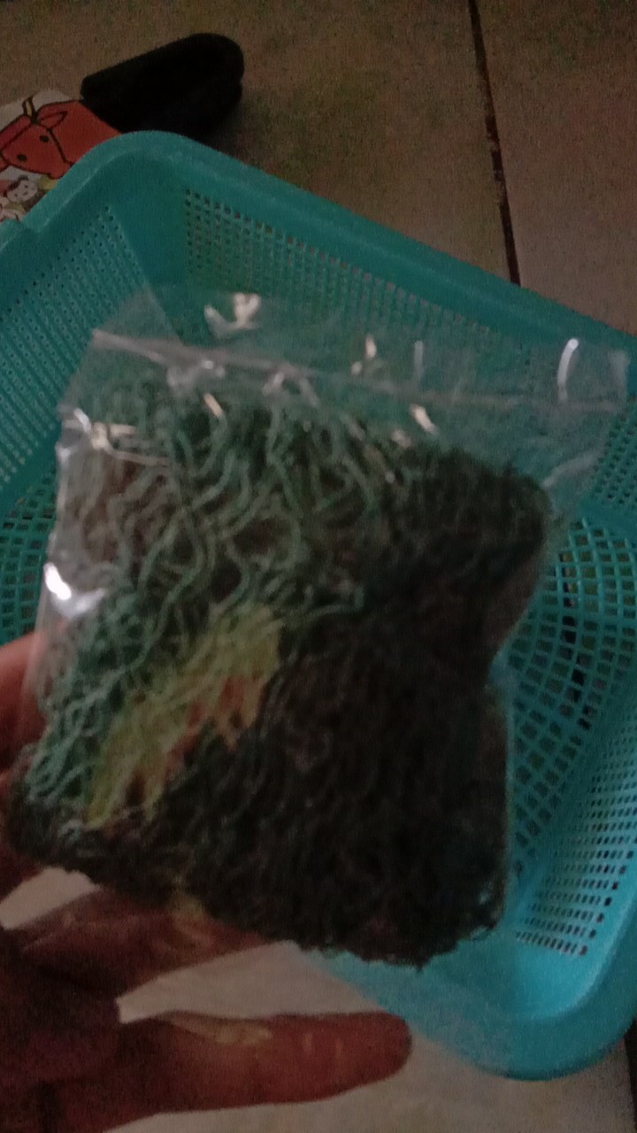 Sabut Cuci Piring Nylon Hijau