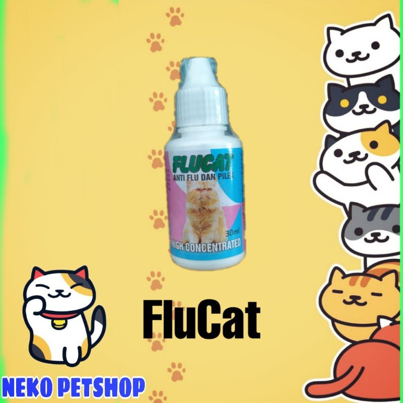 Flucat flucat obat flu kucing anti flu kucing pilek