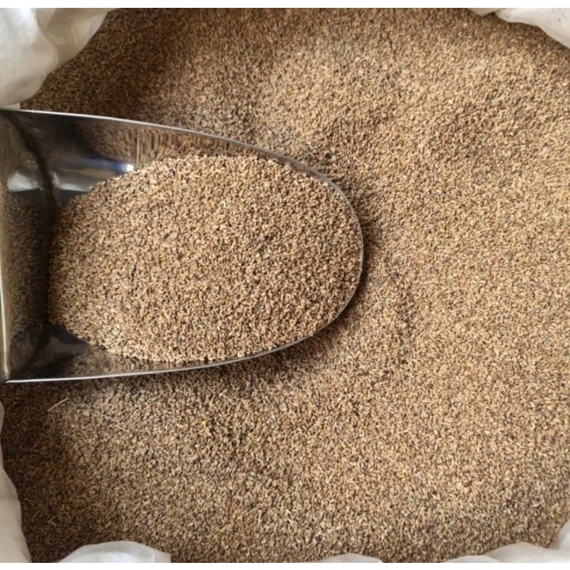 Ajwain Seed 1kg - Biji Mungsi