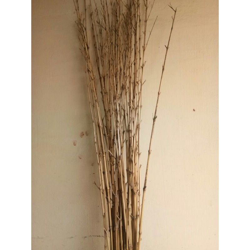 bambu cendani lurus natural /1LE NAT