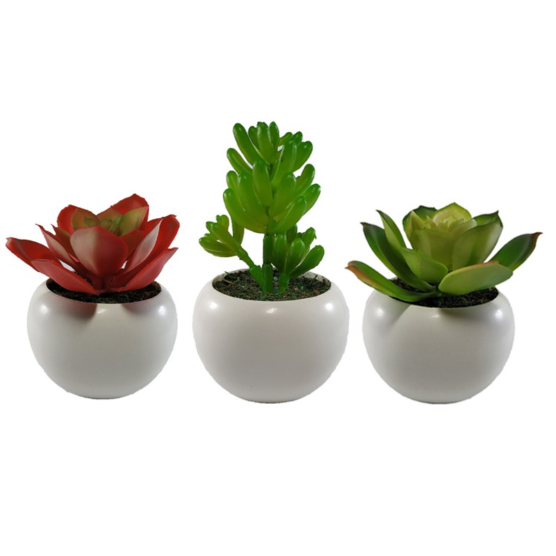 Bunga Cactus Mini Artificial Sekulen Kaktus Plastik Set Pot/ Artificial Cactus/ Succulent Palsu 0057