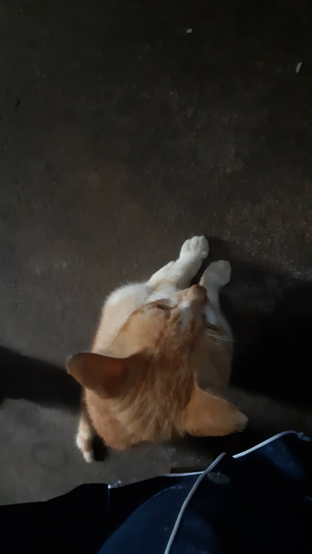 Kemeja Daun Hijau Batik Pria Lengan Panjang