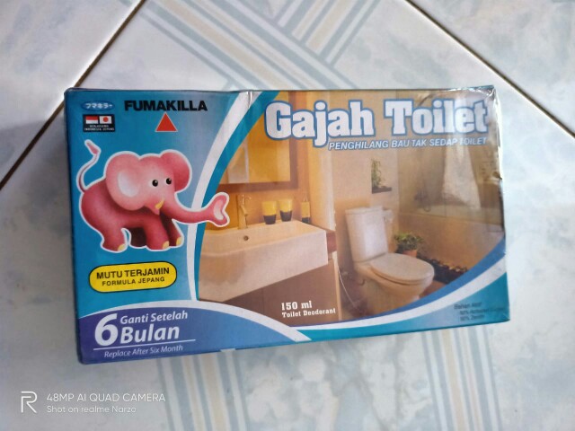 Gajah Toilet