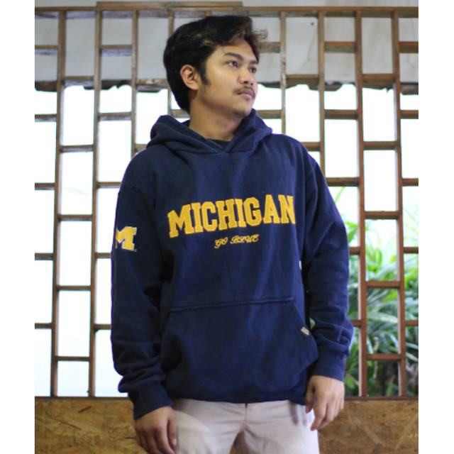 Hoodie Michigan