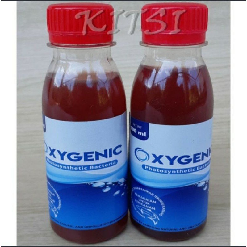 oxygenic 100ml probiotic bacteri stater kolam aquarium aquascape