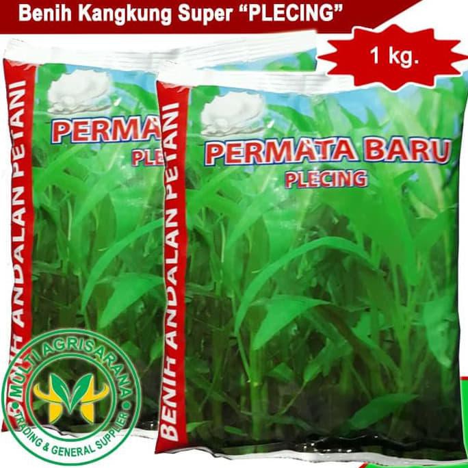 

Benih Kangkung PLECING 1000 gram