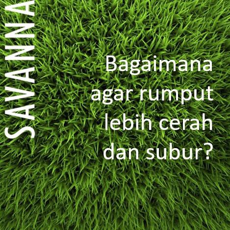 SHOPEE MALL Pupuk Rumput / Rumput Gajah / Rumput Jepang SAVANNA 100ml