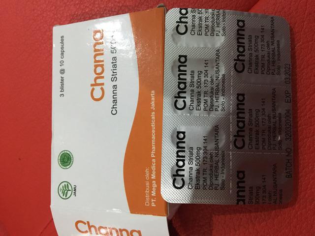 CHANNA 30 KAPSUL KEMASAN STRIP ALBUMIN IKAN GABUS KUTUK ...