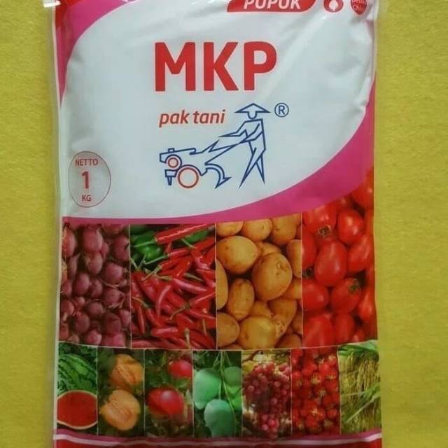 Pupuk mempercepat pembuahan mkp (mono kalium posphate) dan mencegah kerontokan