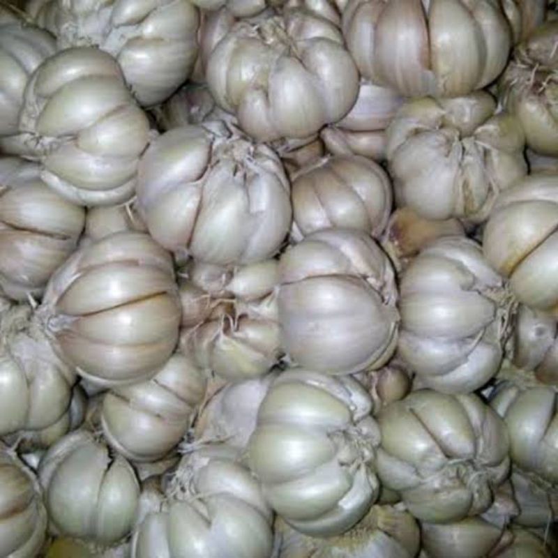 Bawang putih 100 gr