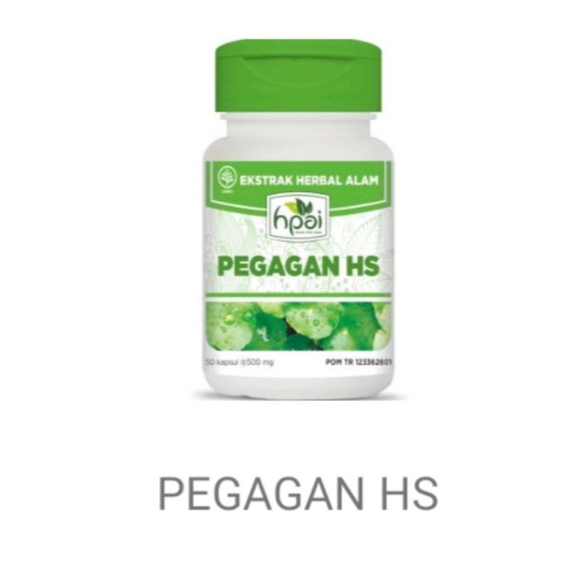 

PAGAGAN HS