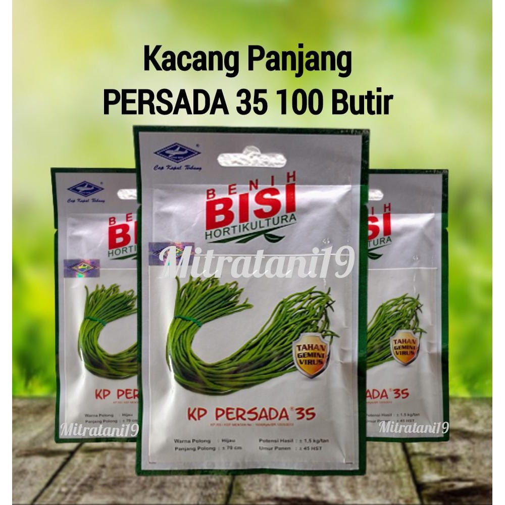 BENIH BIBIT BIJI TANAMAN SAYUR SAYURAN HIDROPONIK KACANG PANJANG PERSADA 35 HG CAP KAPAL TERBANG
