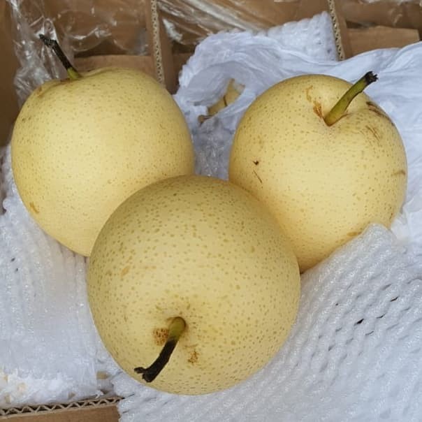 

PEAR CENTURY (pack 1kg)