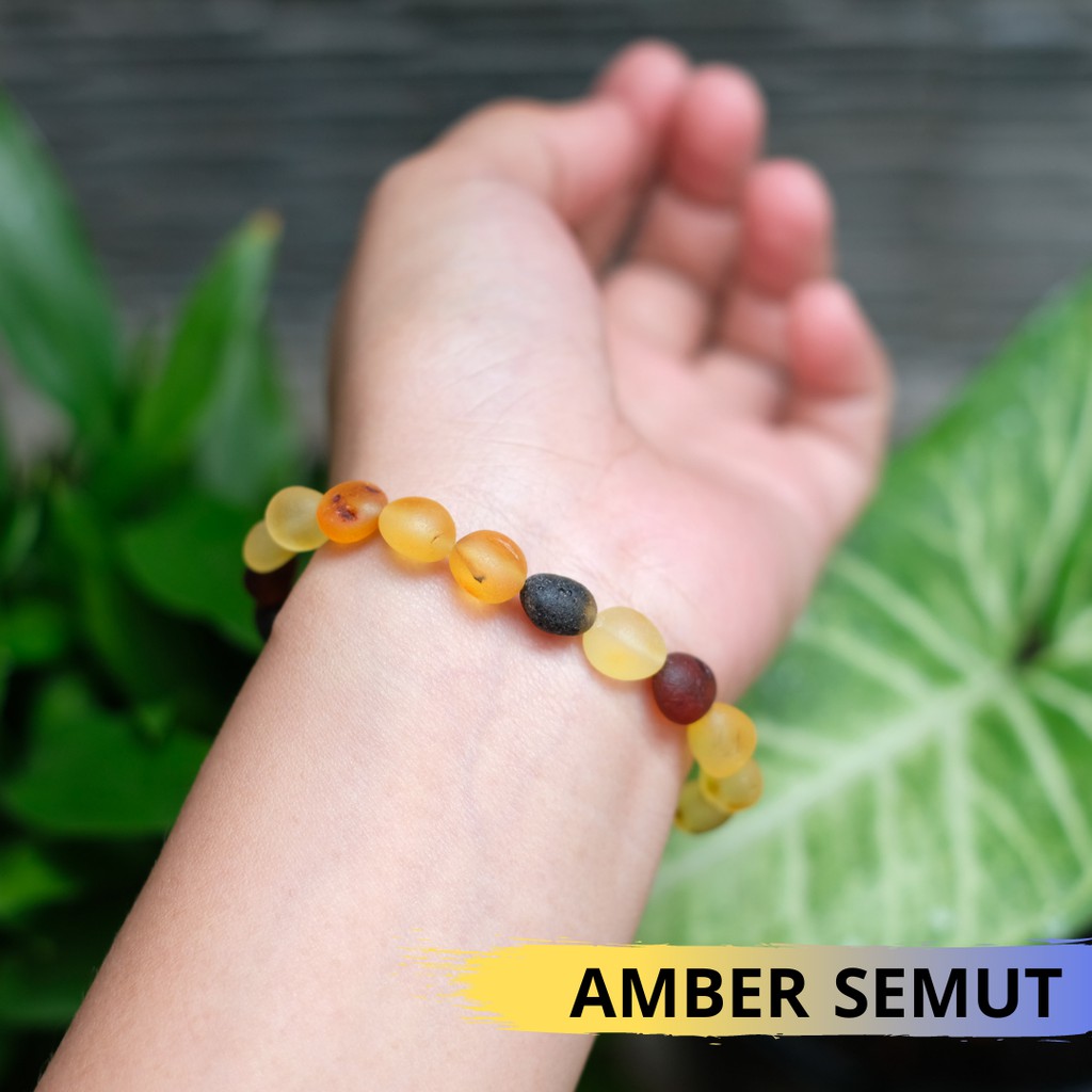 Gelang Amber Baltic Multicolor Beans [Dewasa]