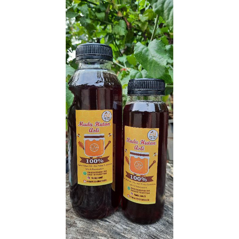 

madu hutan umuli