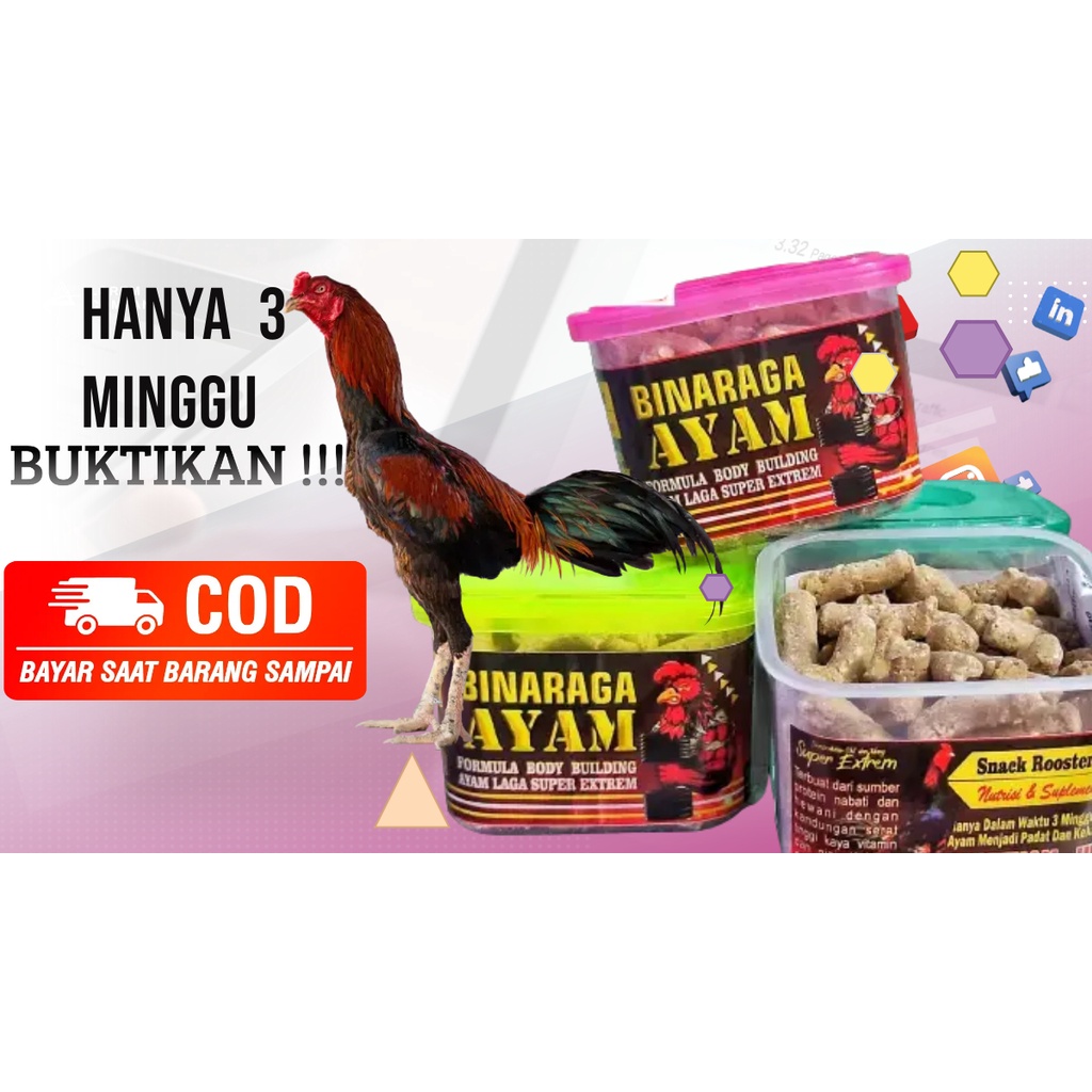 JAMU AYAM ADUAN DOPING AYAM ADUAN AYAM BANGKOK OBAT AYAM BANGKOK FITAMIN AYAM BANGKOK AYAM ADUAN  Bi