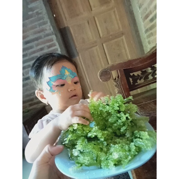 

latoh/anggur laut/sea grapes/caviar