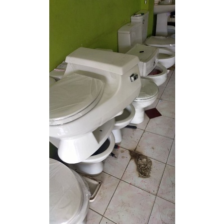 closet duduk Kohler model kodok