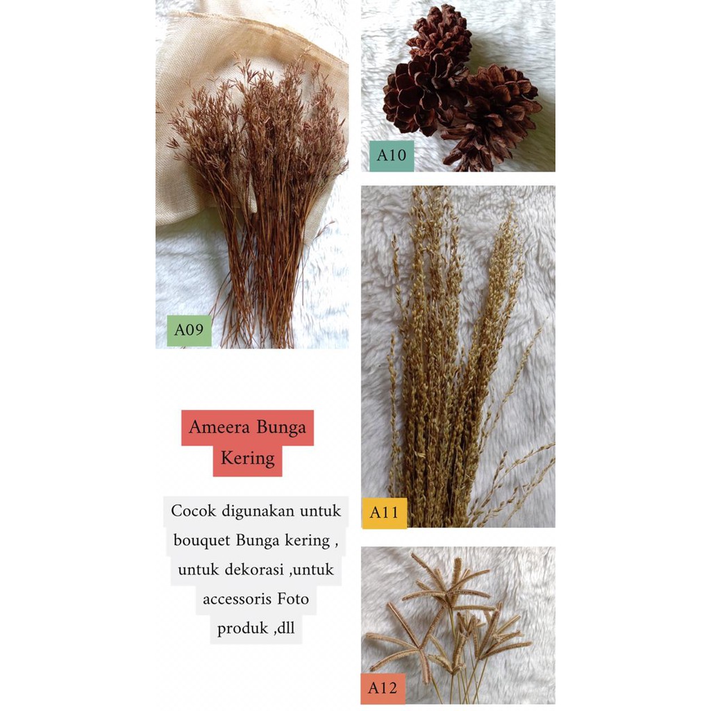 BUNGA KERING/RUMPUT KERING HIASAN DEKORASI ACESSORIS FOTO PRODUK