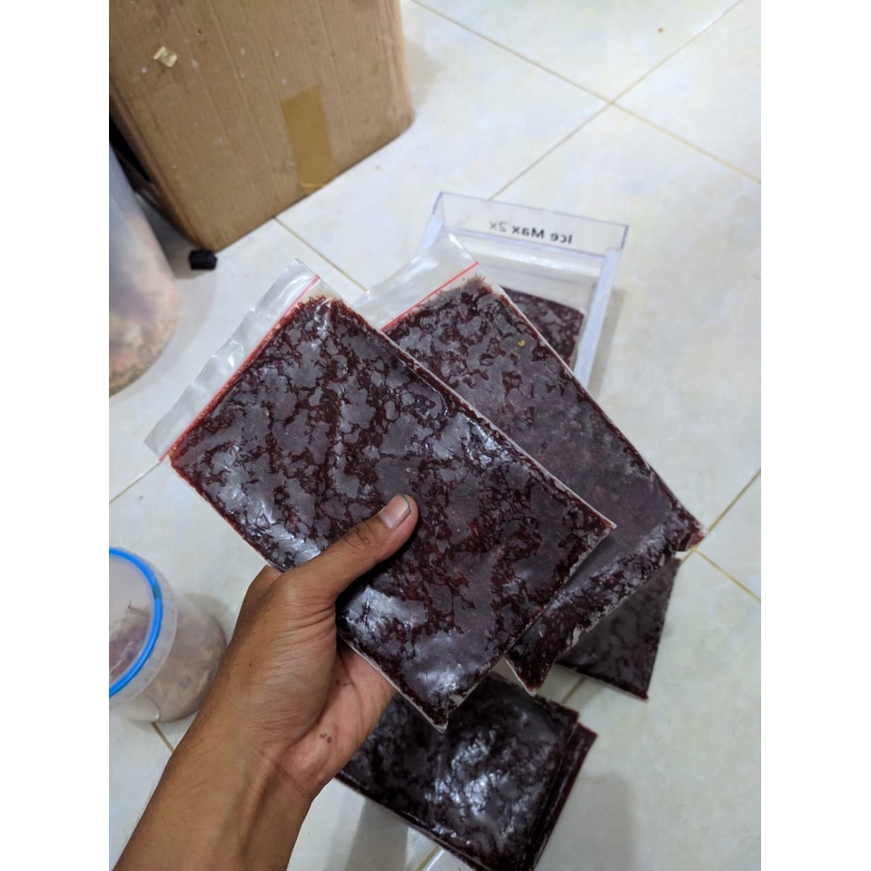 Cacing Beku pakan ikan