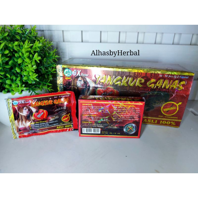KAPSUL TANGKUR GANAS (1box isi 10 sachet x 2 kpsul)