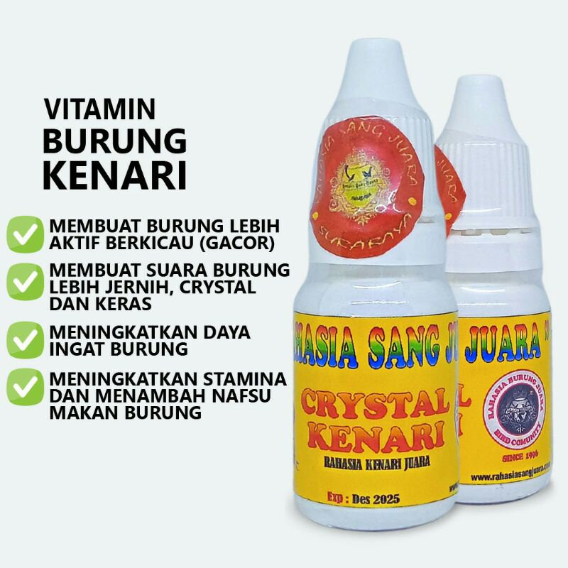 vitamin burung kenari rahasia sang juara