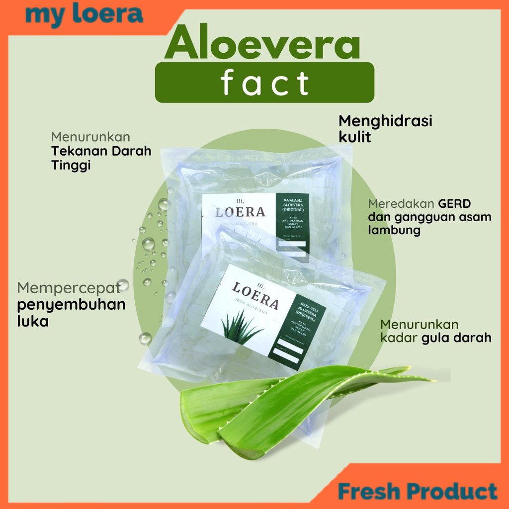 

myloera Aloevera Aloe Vera Lidah Buaya Kupas Tanpa Pengawet dan Pemanis Herbal Alami Atasi Masalah Asam Lambung Maag GERD Susah BAB Sembelit 500 gram Kemasan Plastik